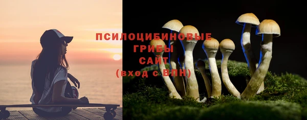 прущие грибы Баксан