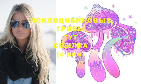 прущие грибы Баксан
