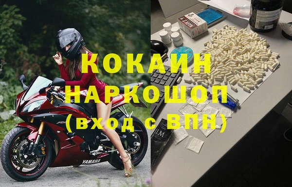 прущие грибы Баксан