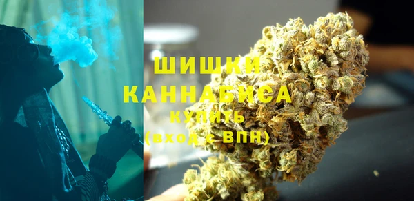 прущие грибы Баксан